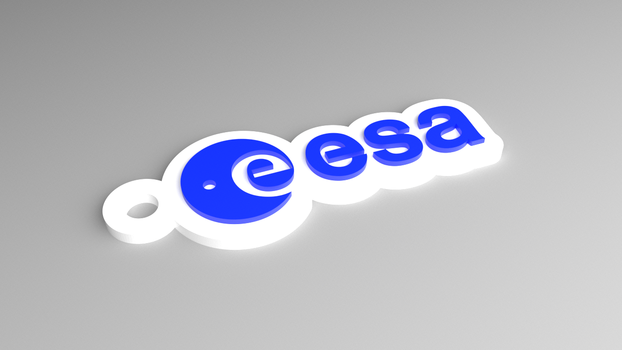 ESA Keyring - Logo Contoured (Raised)