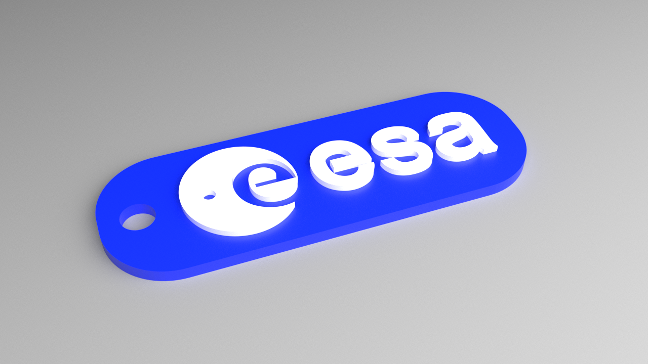 ESA Keyring - Logo Fob (Raised)