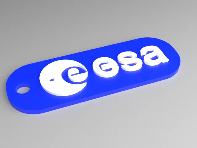 ESA Keyring - Logo Fob (Raised)