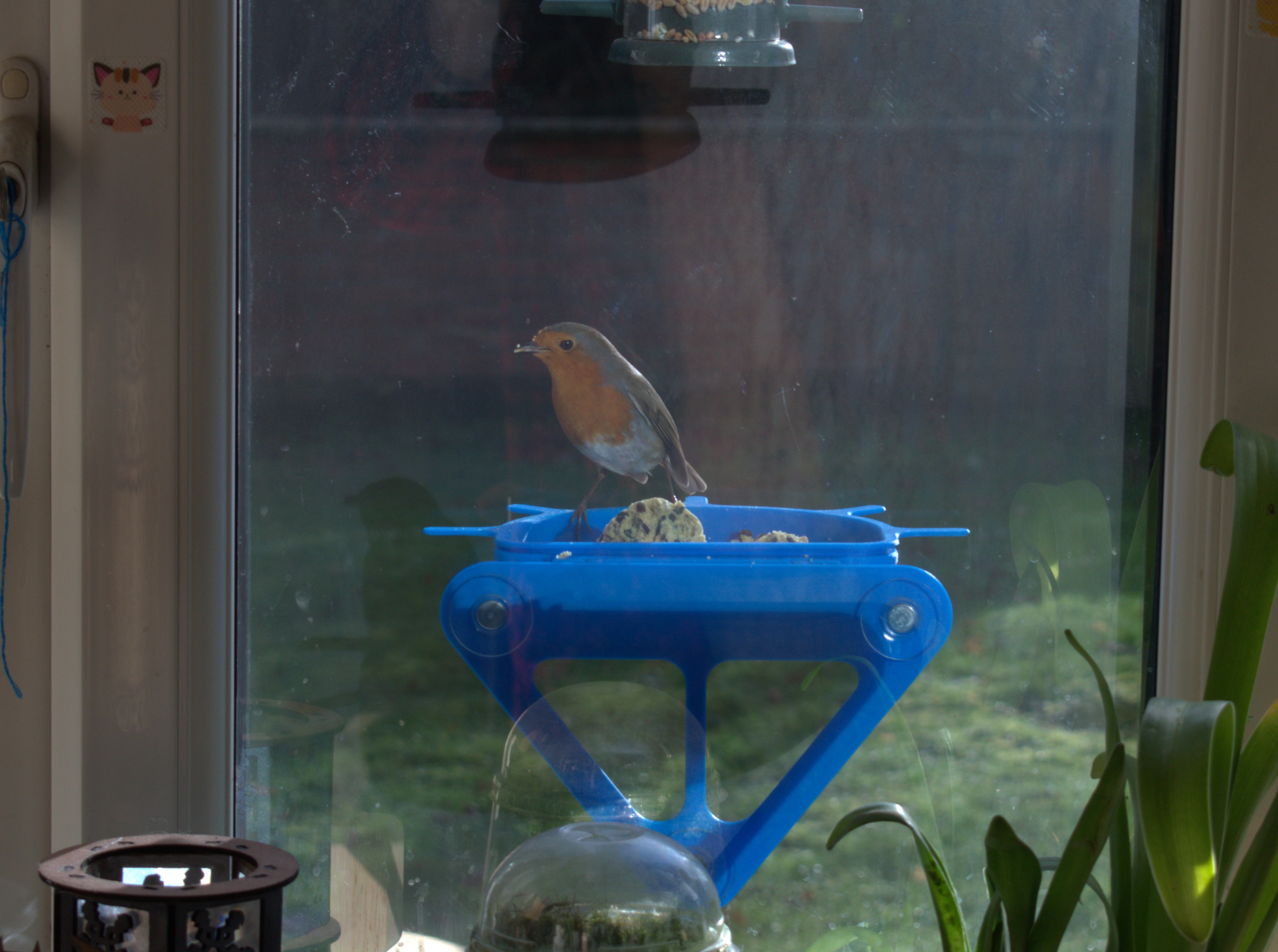 Large Window Hanging Bird Table — thumbnail 3