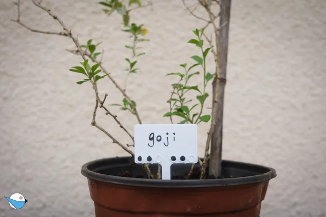 Plant Marker 3000
