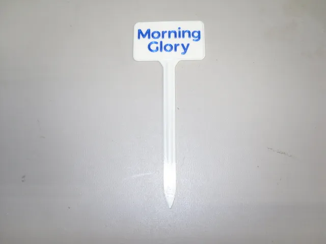 Plant Label Morning Glory