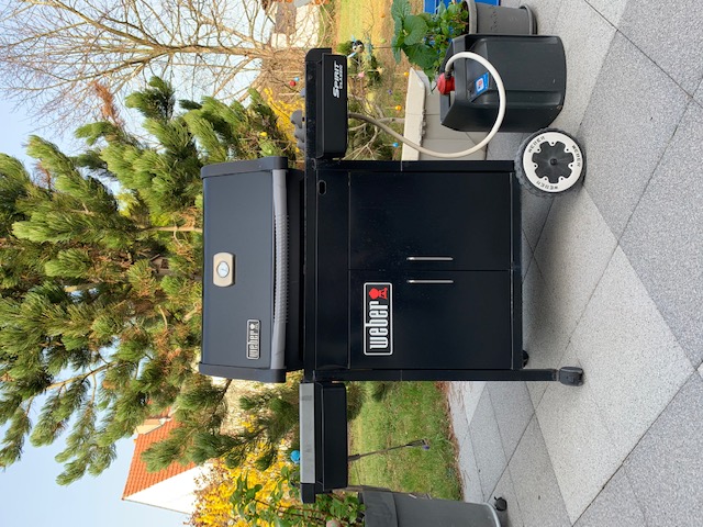 LOGO WEBER — miniatura 2