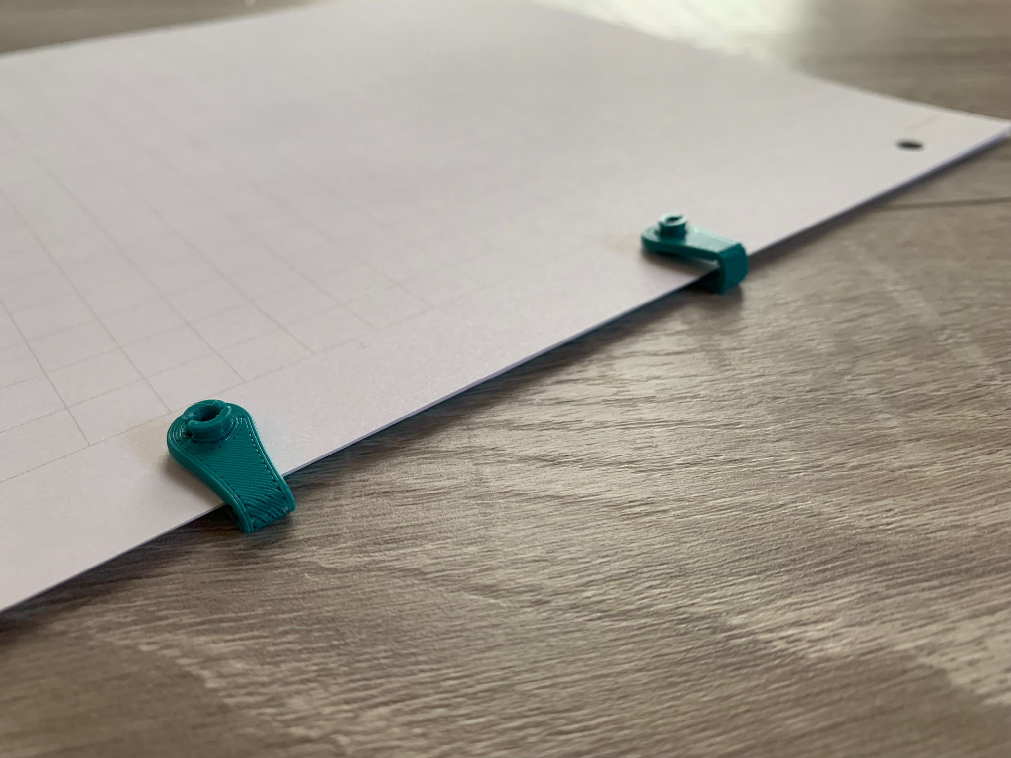loose-leaf binder / paper clip