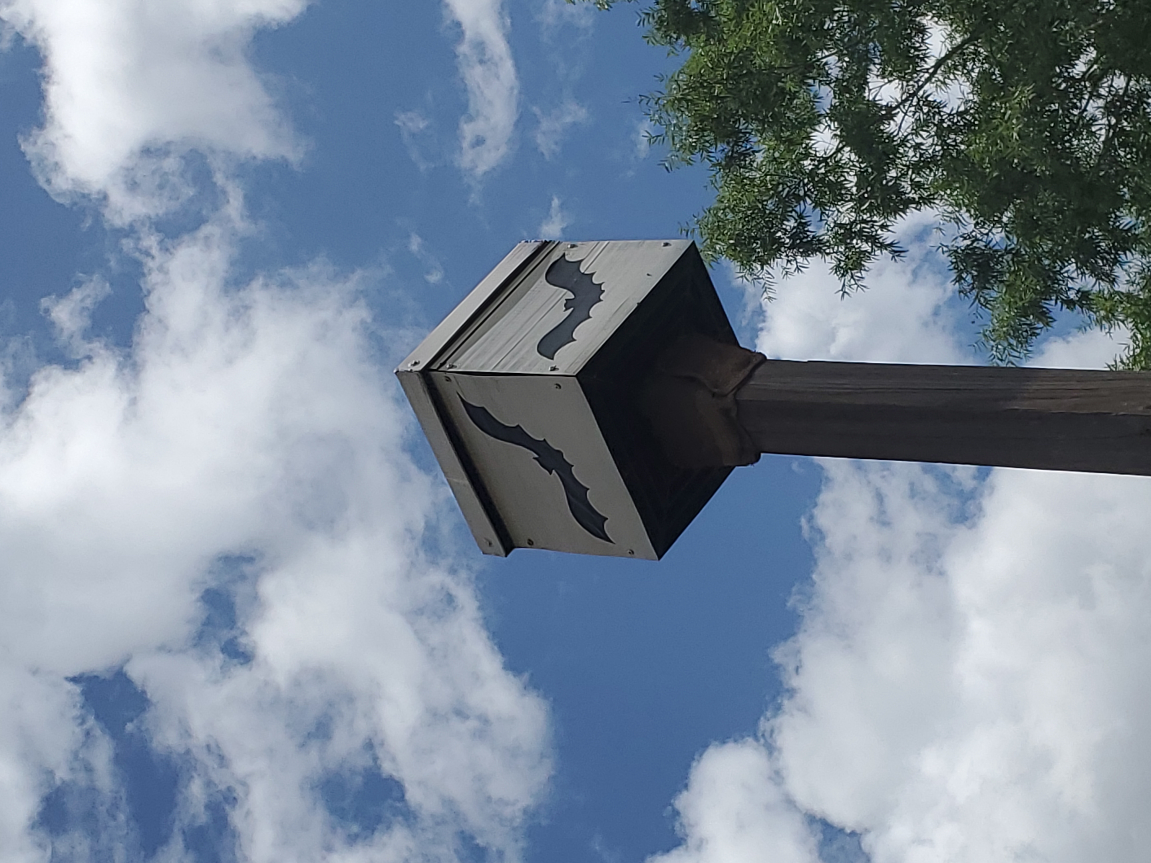 Bat House