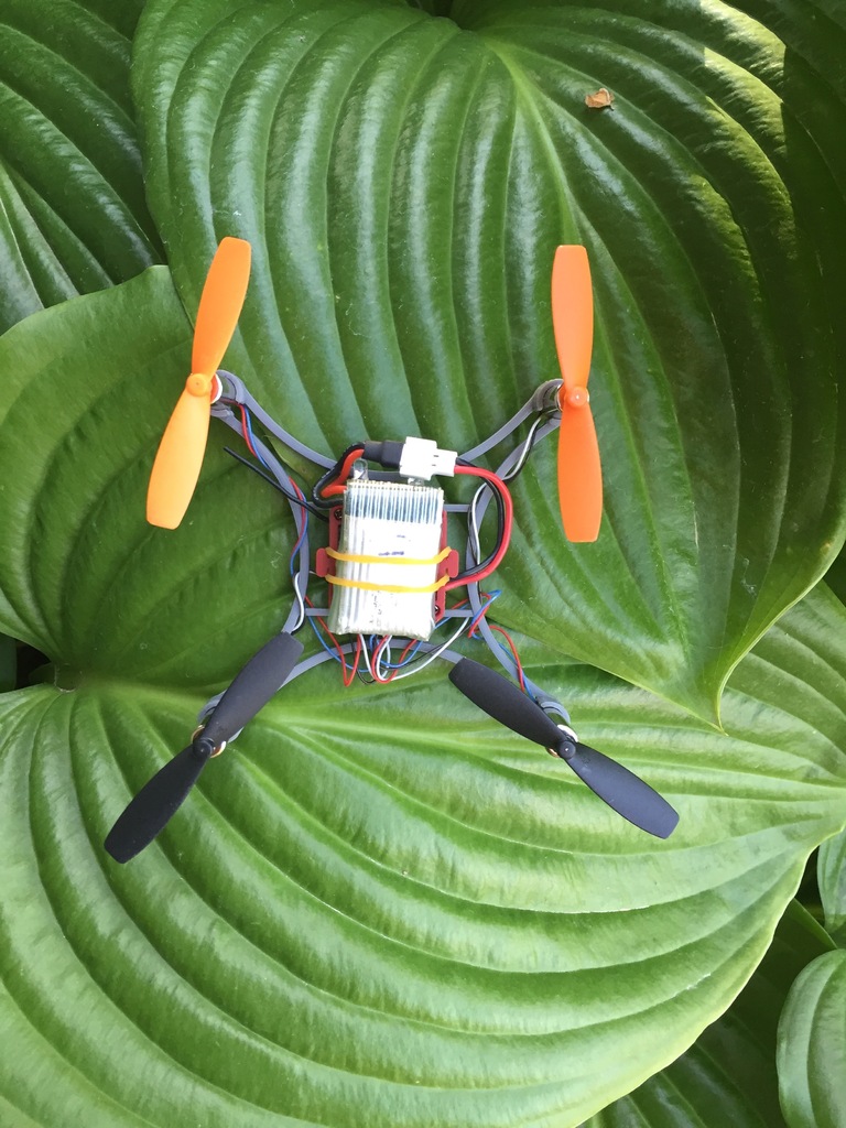 Micro Quadcopter -Walkera/Vitality Labybird H36 Version