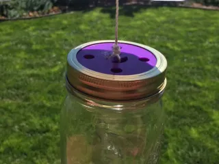 Fly online trap jar