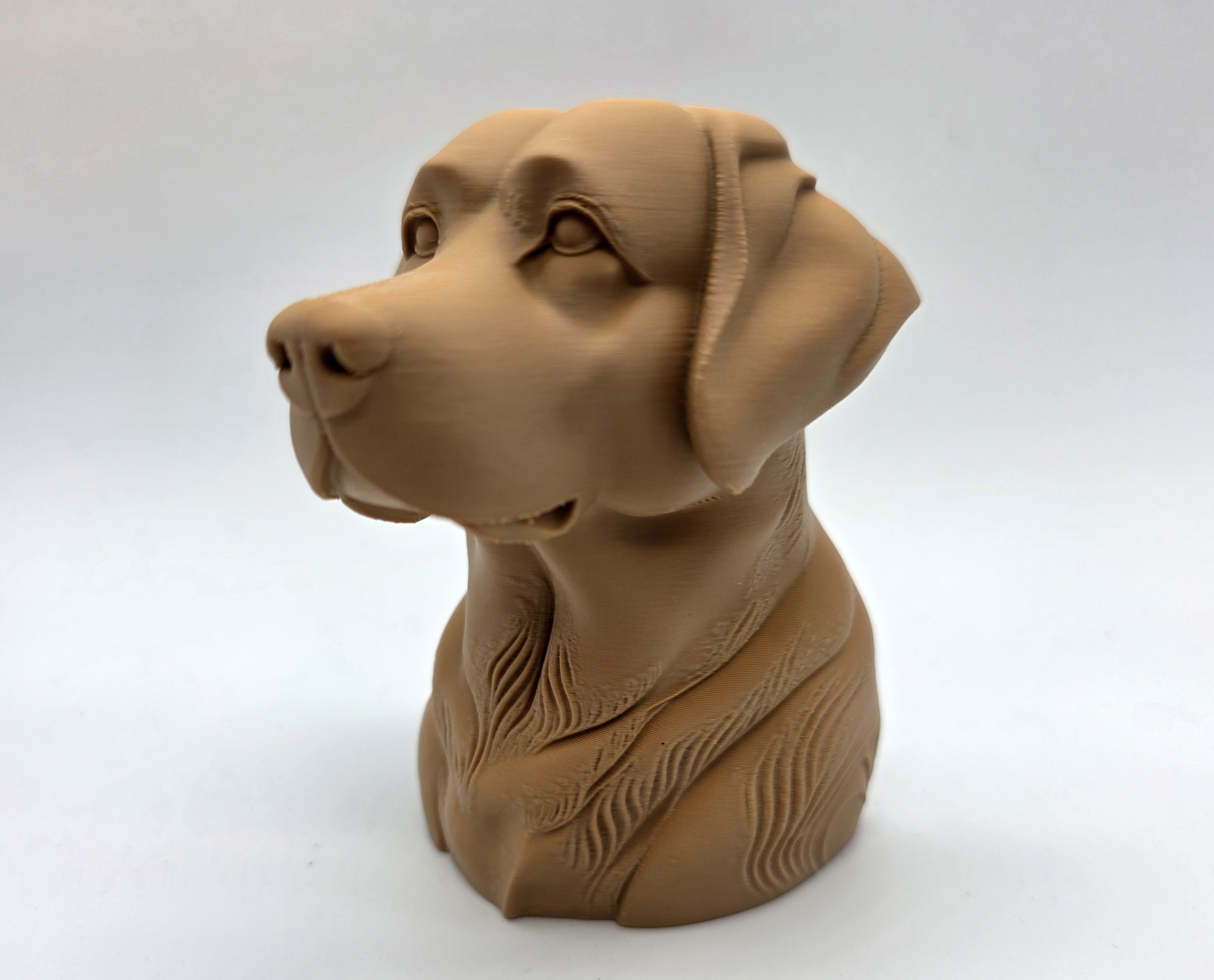 Labrador Retriever Bust