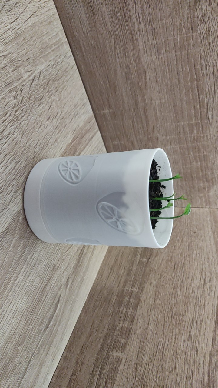 Small seedling or plant pot with reservoir