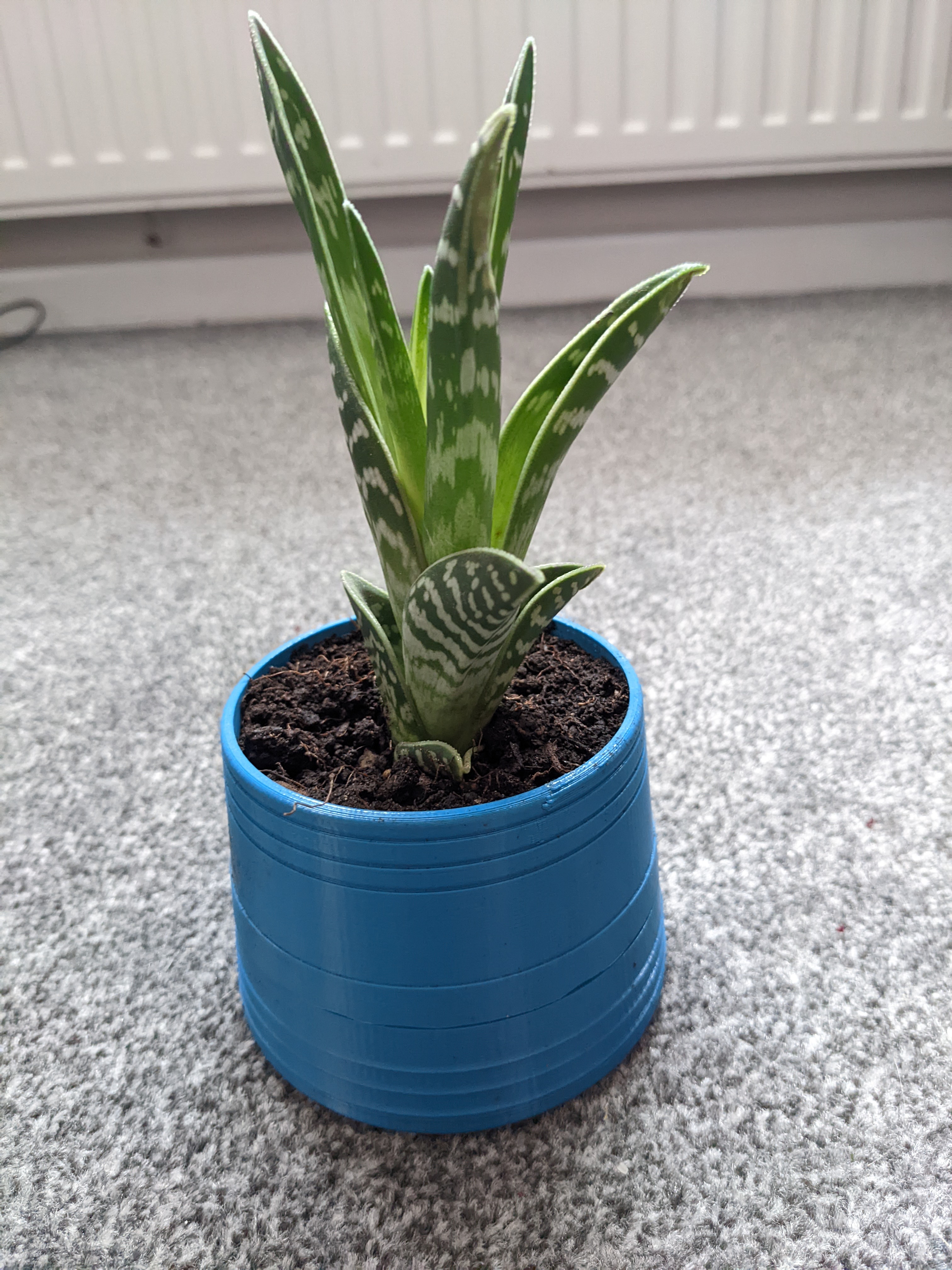 Small Decorative Plant Pot