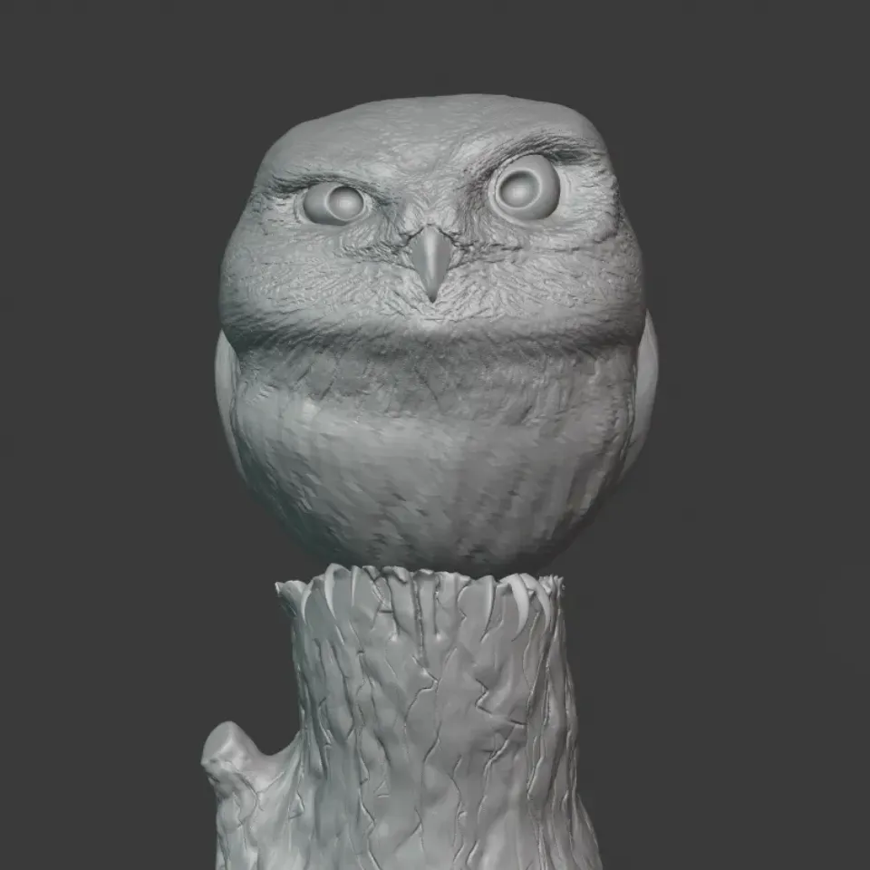 Little Owl (Steinkauz) by Stwebster | Download free STL model