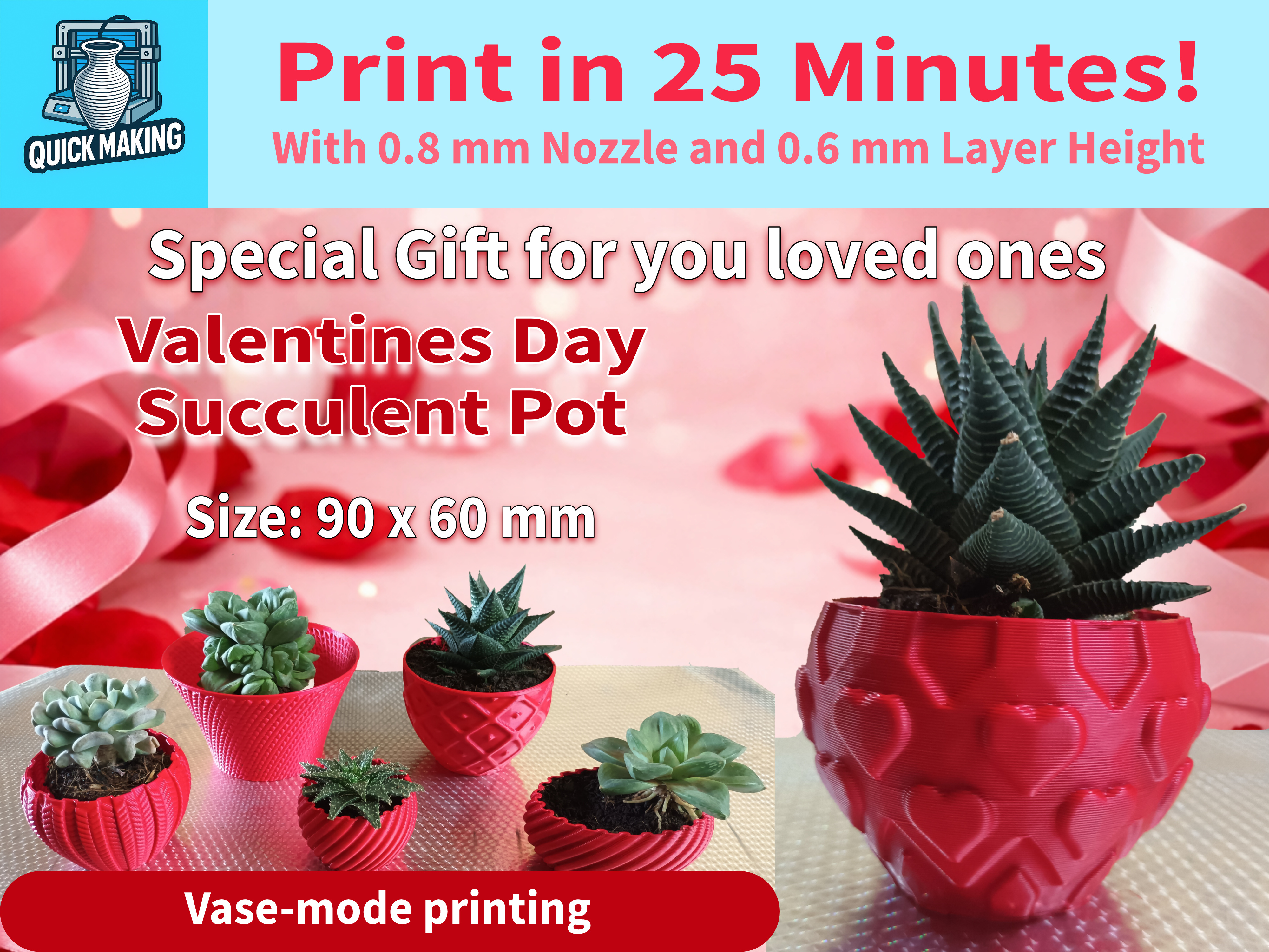 Succulent Pot for Valentines Day