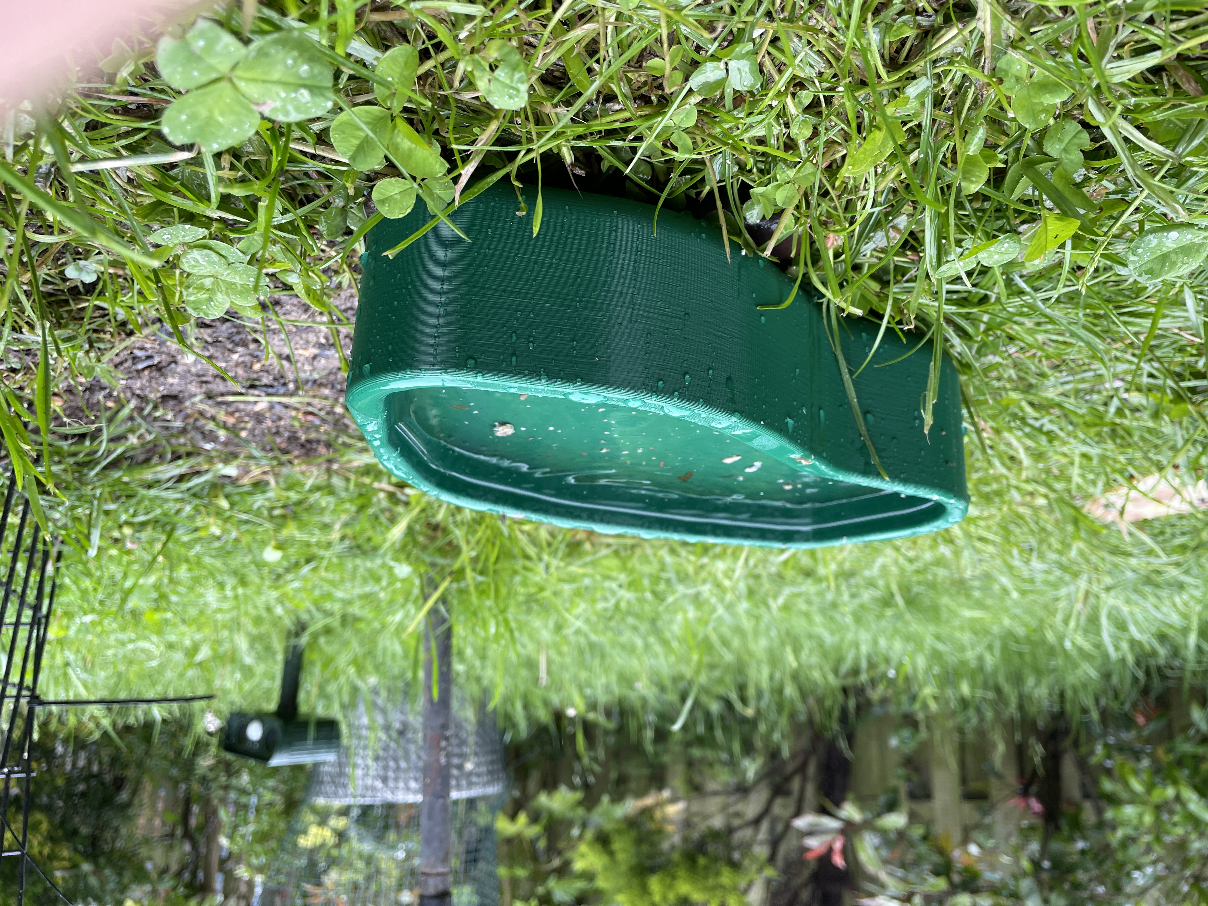 Bird Bath