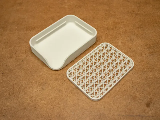 Fuzzy Skin & Custom Infill Based Sponge/Soap Dish