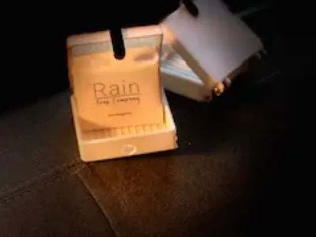 Travel Soap Dish
