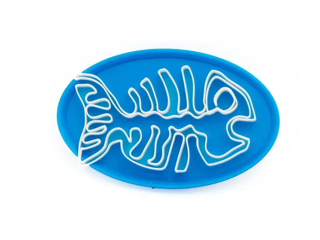 SOAP FISH ON A FOSSIL DISH