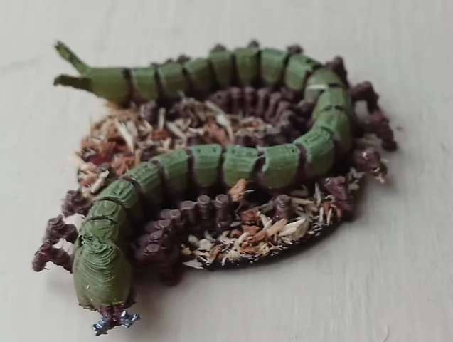 Giant Caterpillar on 25mm Base for D&D