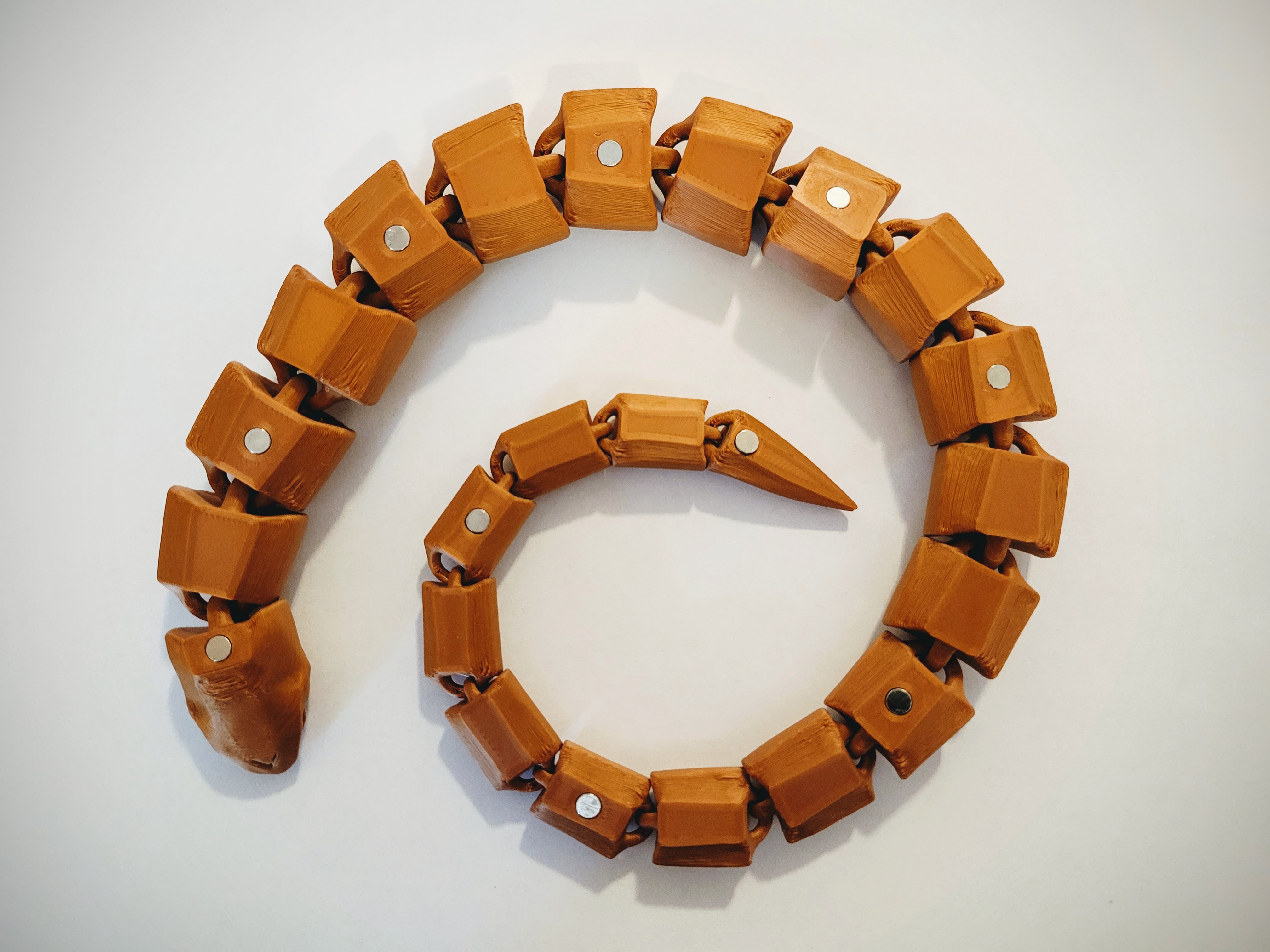 Western Hognose Snake with Magnets by Julia Ebert | Download free STL ...