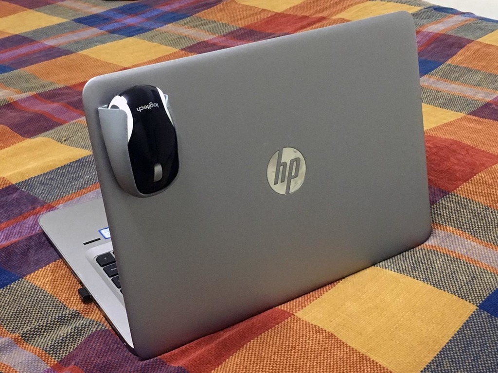mouse cradle