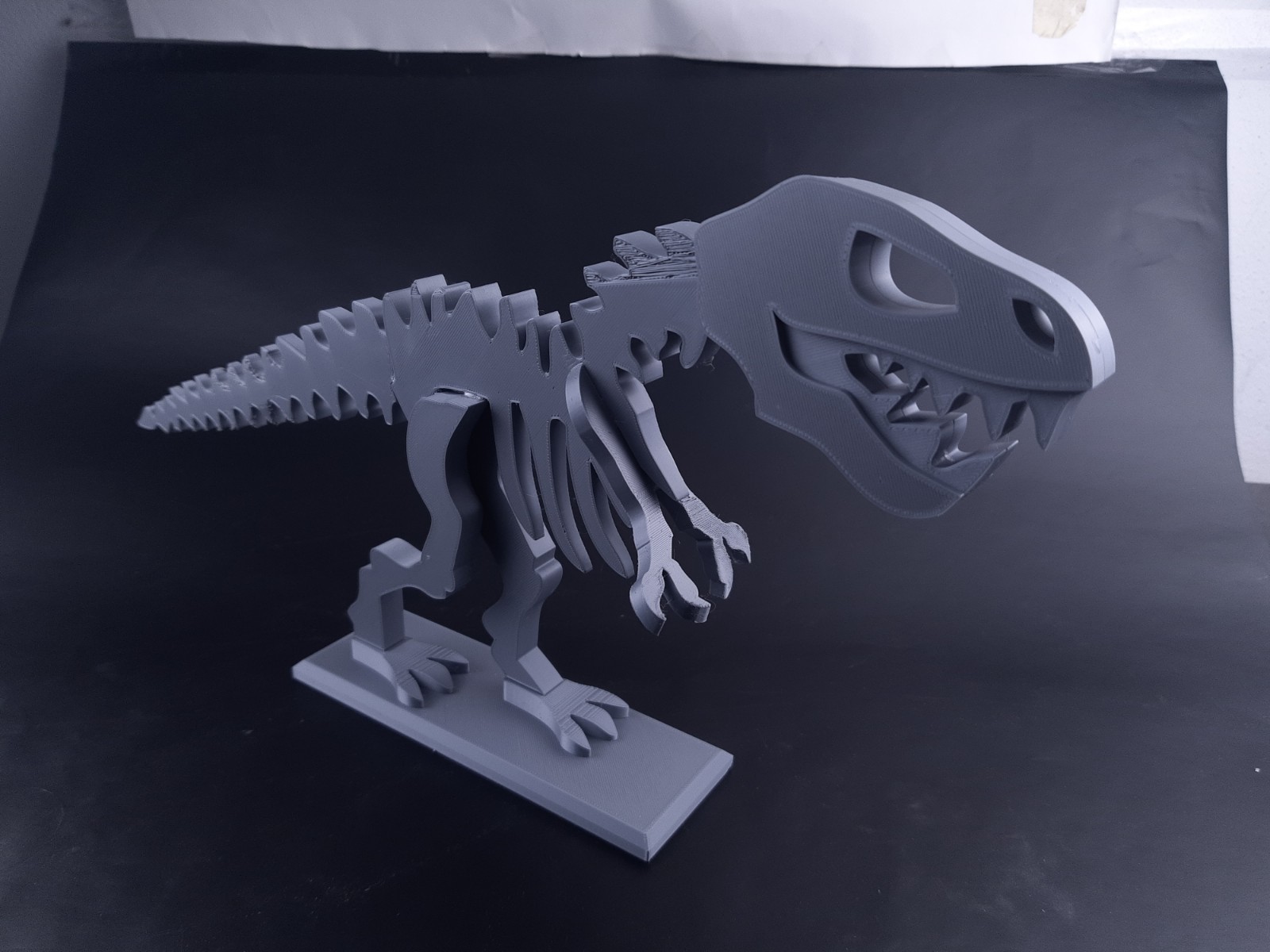 Dinosaurus – kostra z pravěku