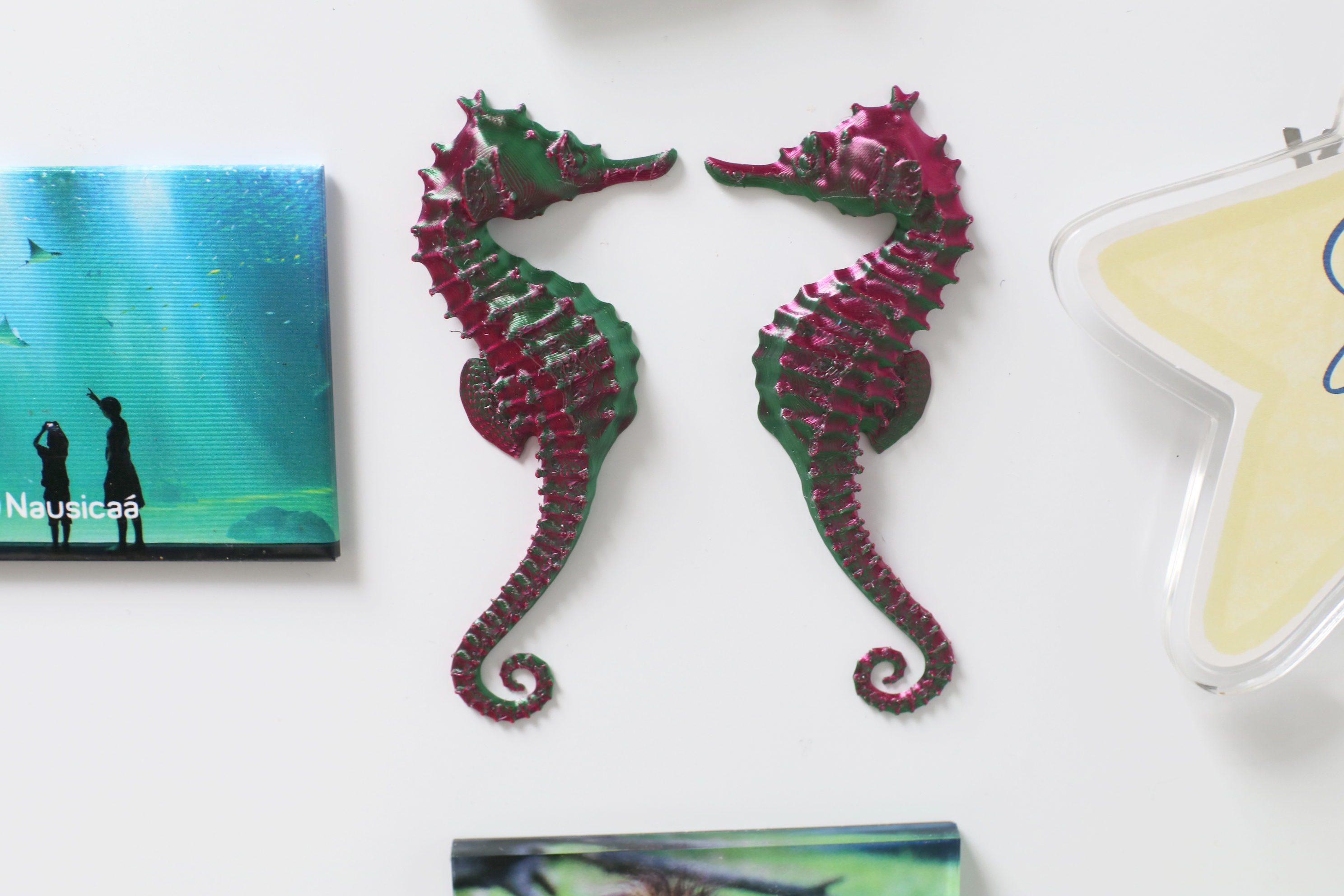 Seahorse symetric magnets - Fridge version