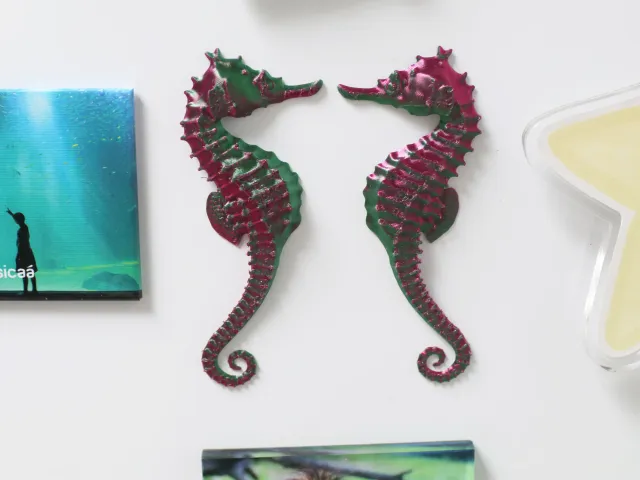 Seahorse symetric magnets - Fridge version