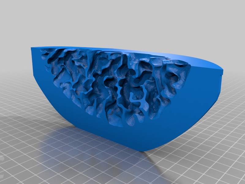 Miniatura 5 do modelo 3D Human brain mold (anatomically correct)