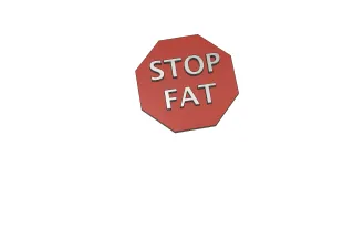 FRIDGE MAGNET