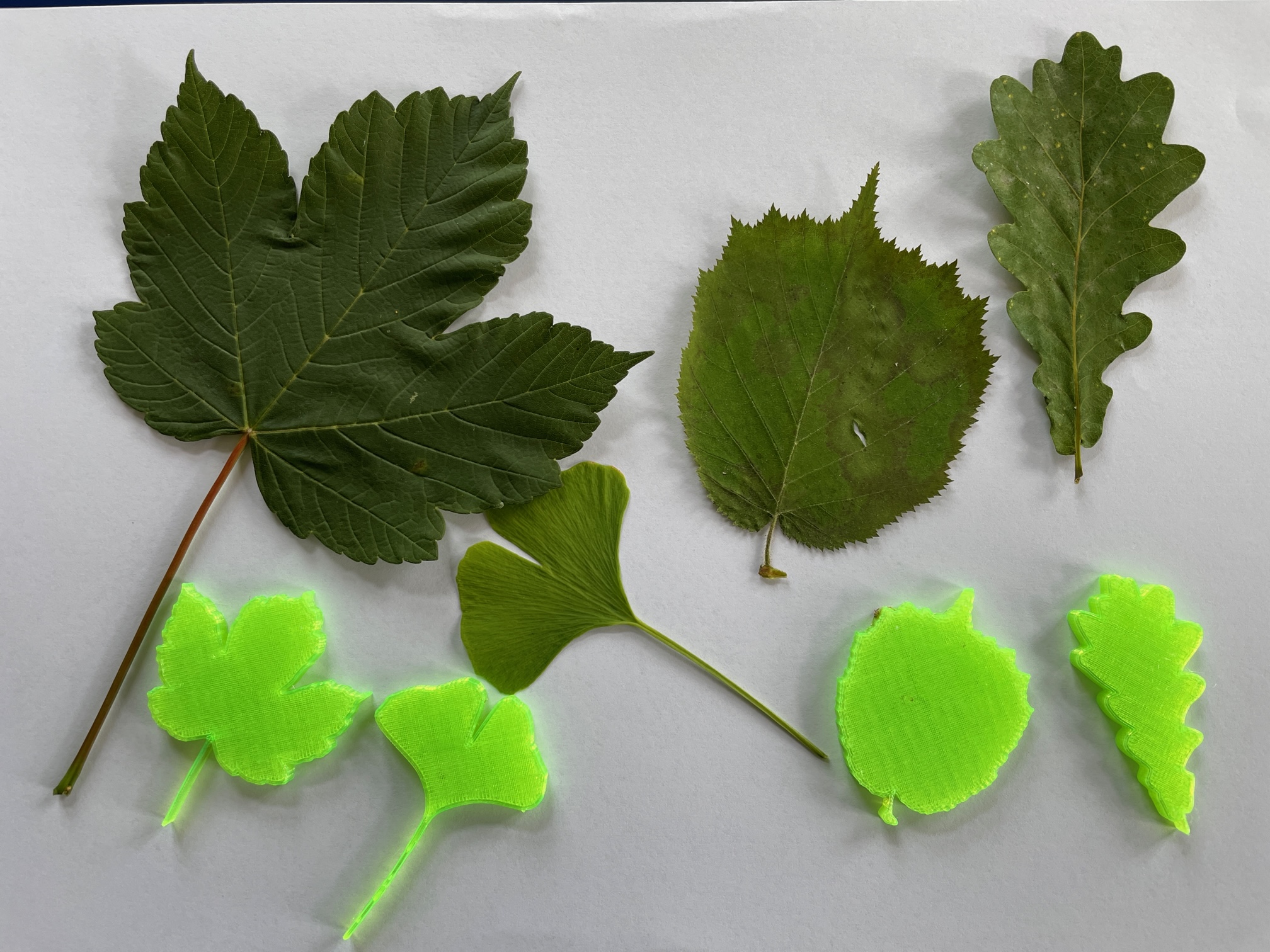 Tree Leaf Magnets for fridge