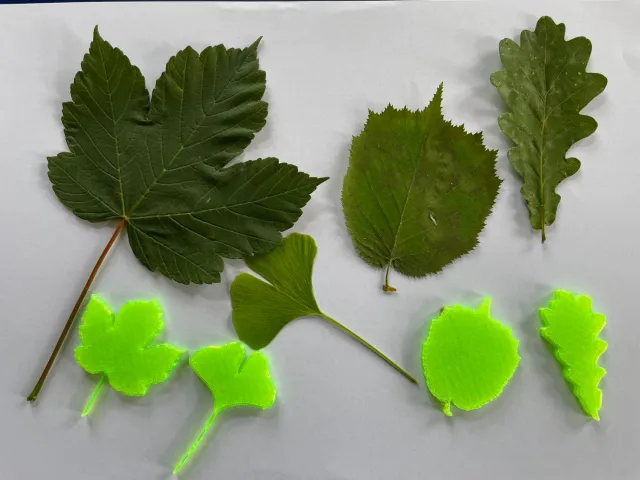 Tree Leaf Magnets for fridge