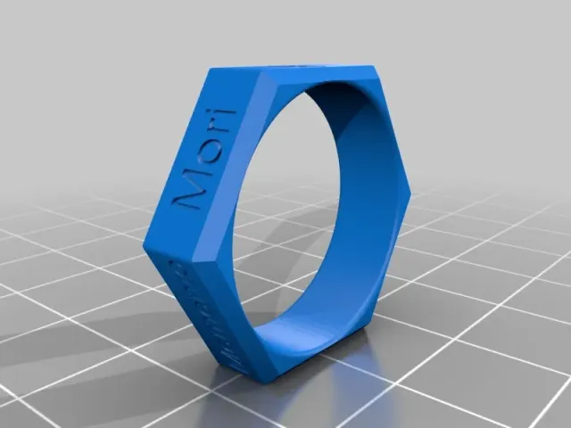 Reverse Engineer's Ring - customized