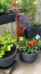 cover for drain pipe (flowerpot)