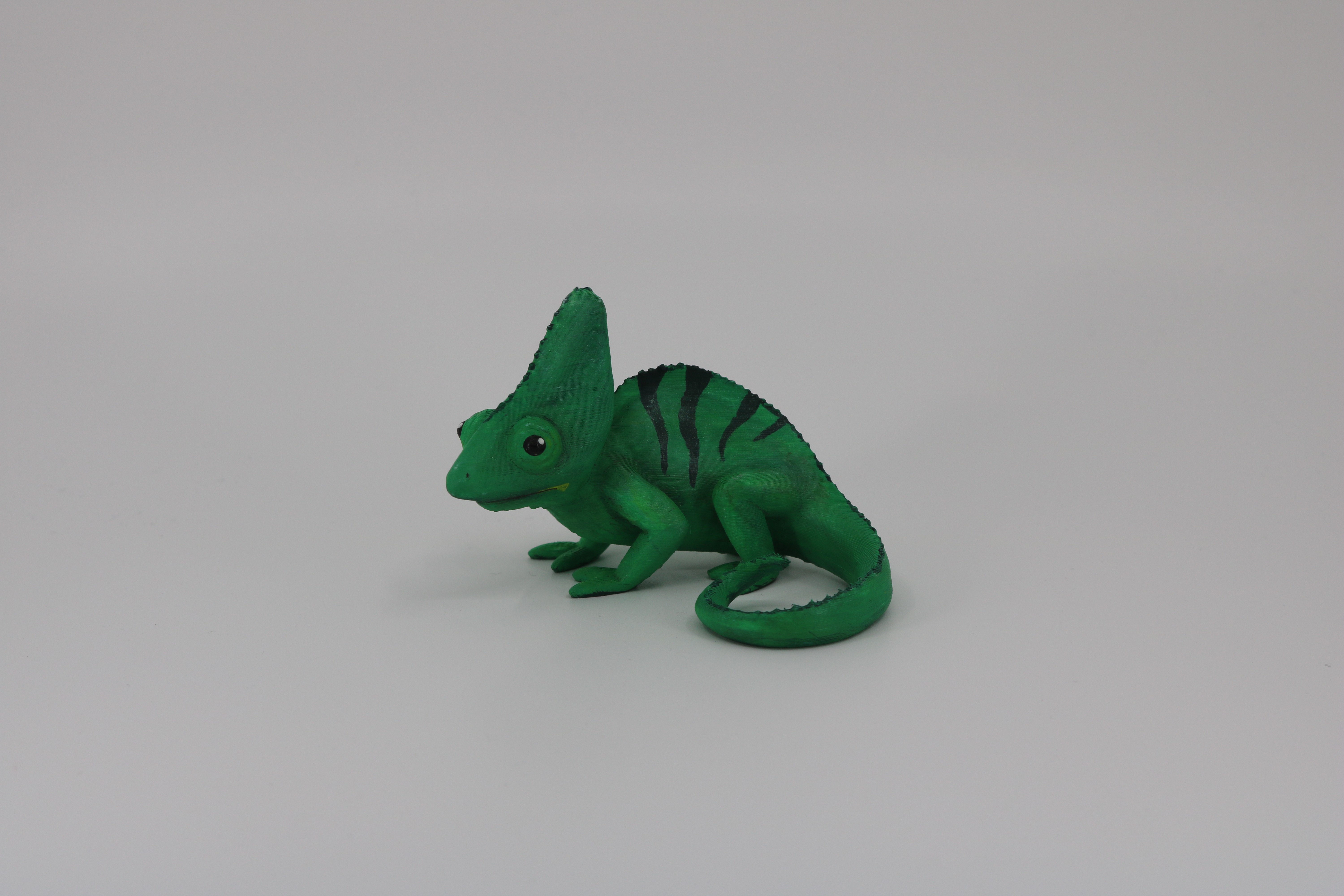 Yemen Chameleon