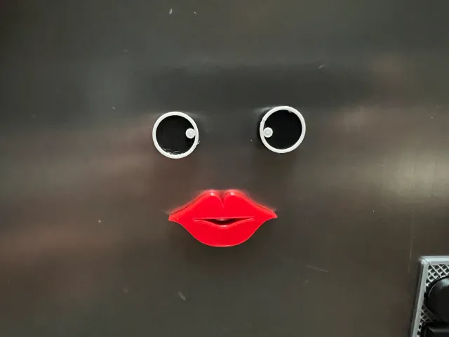 funny face magnets