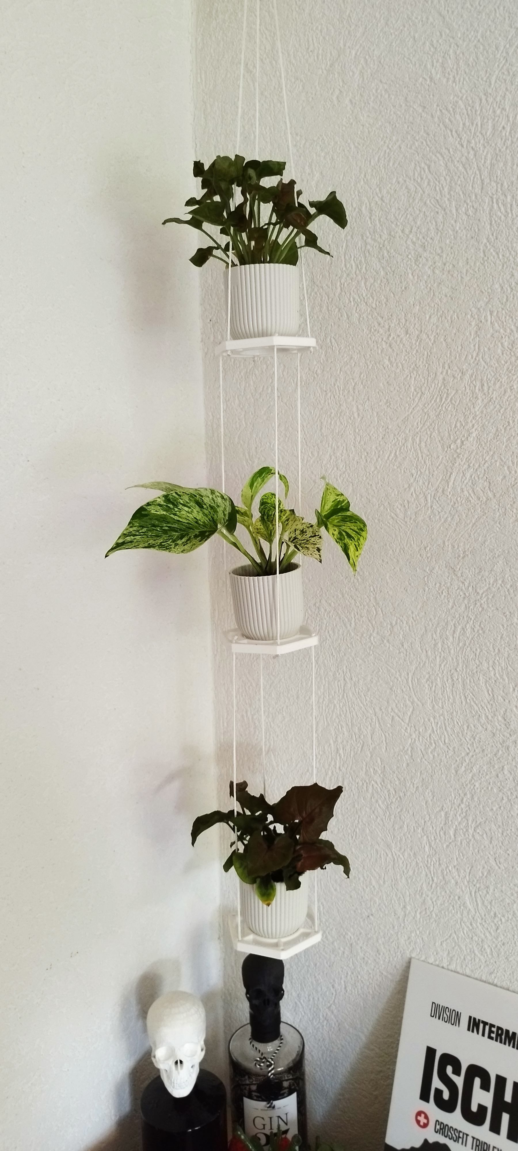 Plant Caroussel Hanger