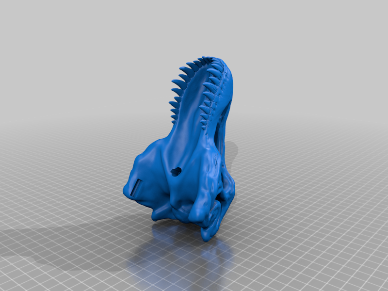 T-Rex Skull With Full Jaw by Craig | Download free STL model ...