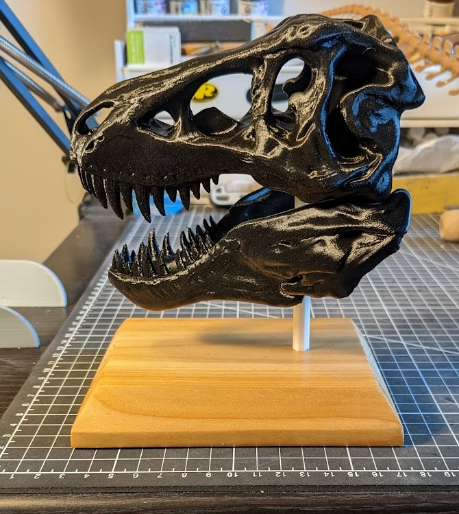 T Rex Skull With Full Jaw By Craig Download Free Stl Model