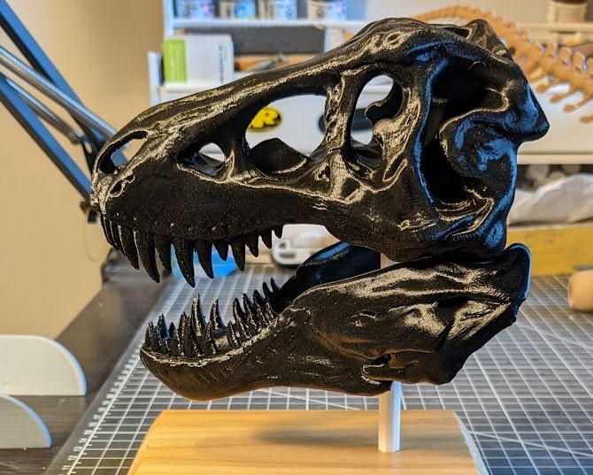 TRex Skull With Full Jaw by Craig Download free STL model