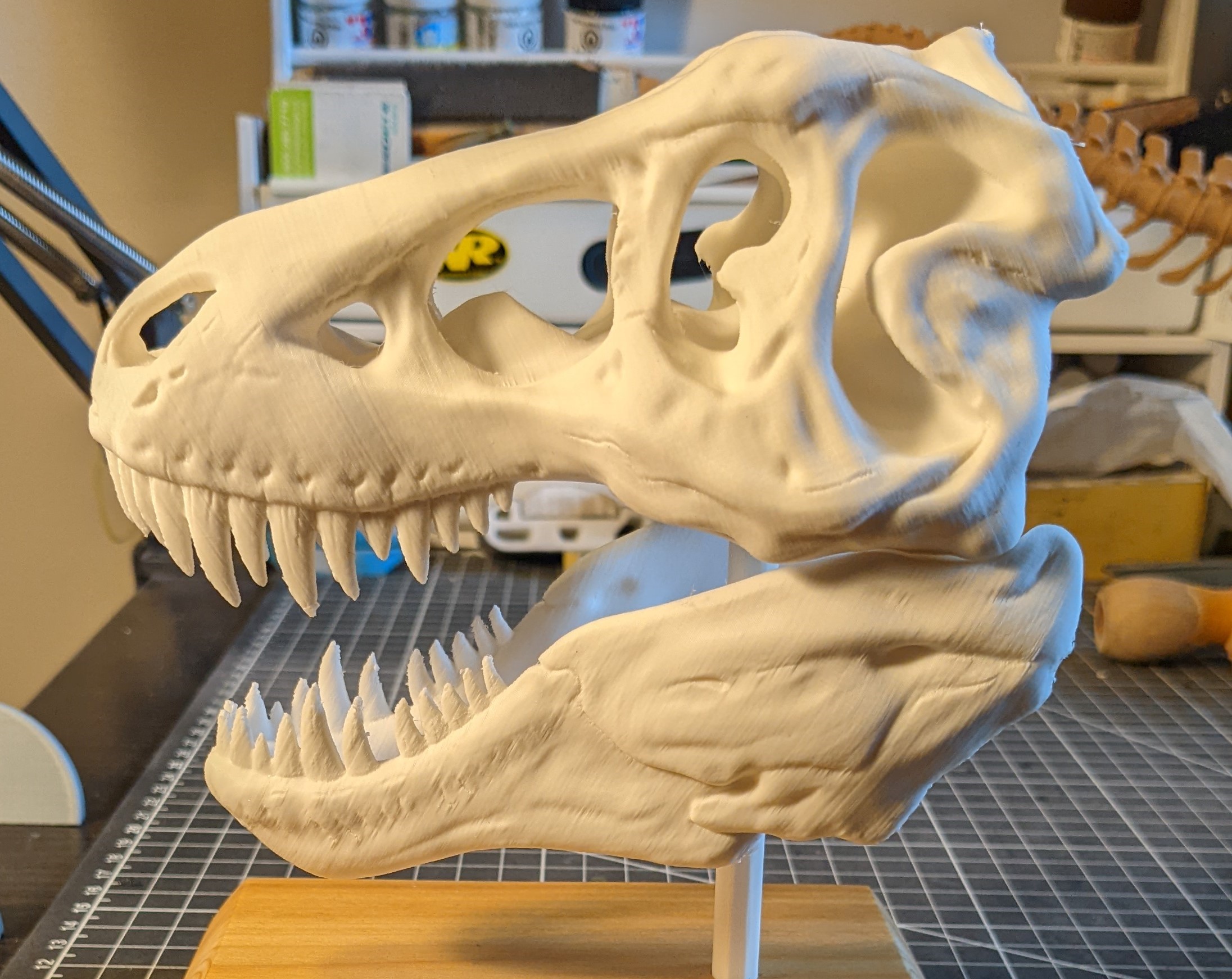 T-Rex Skull With Full Jaw by Craig | Download free STL model ...