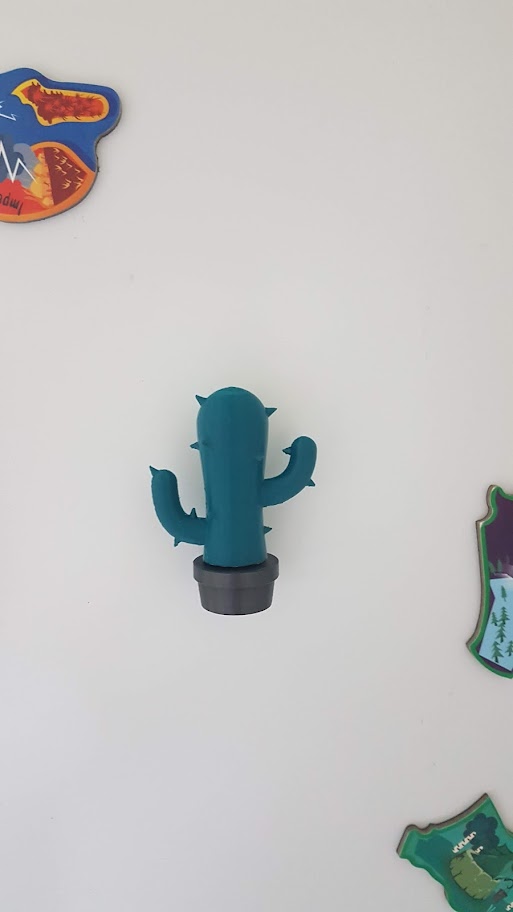 Magnetic Cactus Pot