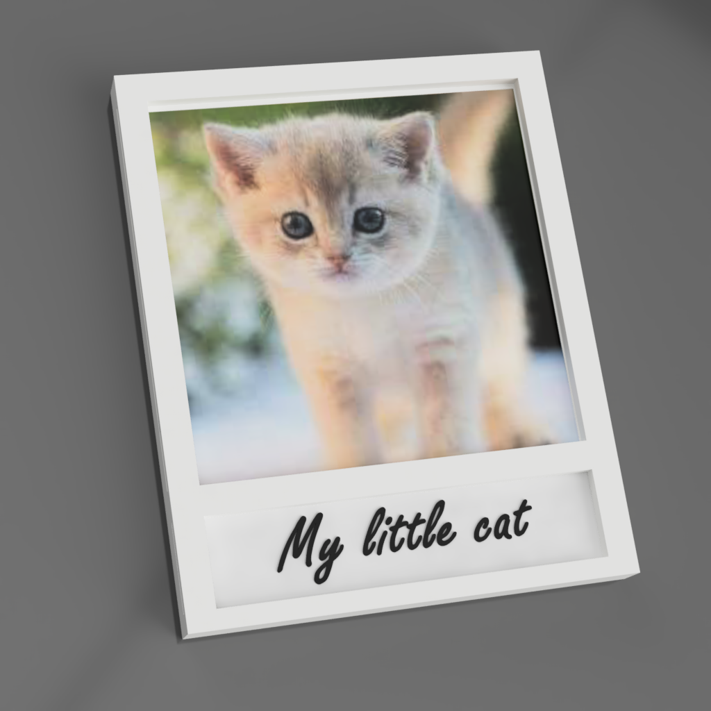Polaroid style fridge magnet (F3d include)