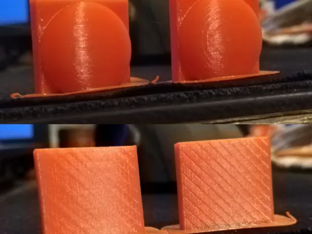 Salmon Skin Test