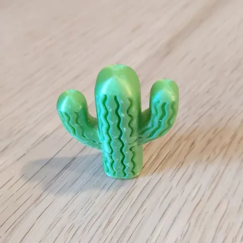 3D Cactus magnet