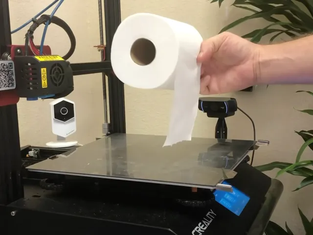 Toilet Paper