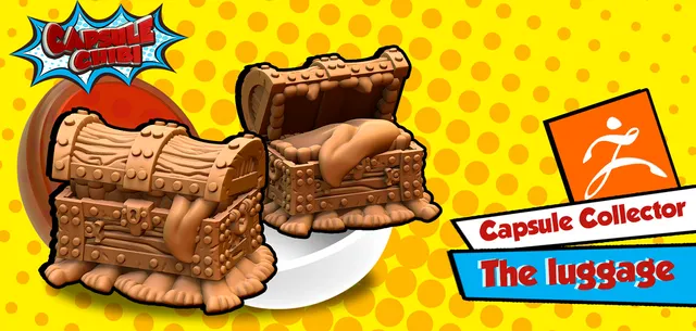 The luggage