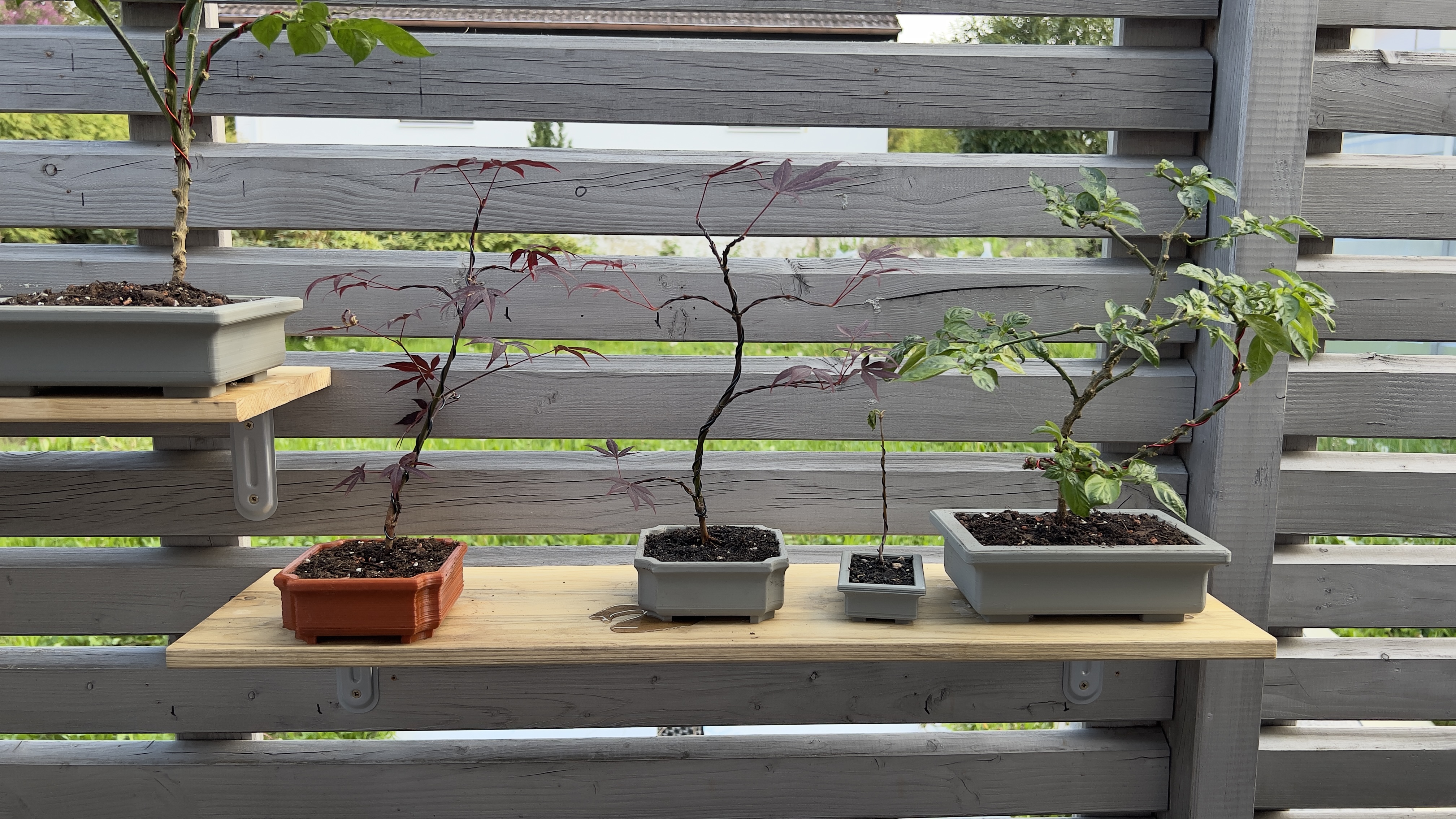 Miniatura 10 do modelo 3D Bonsai pots + coasters