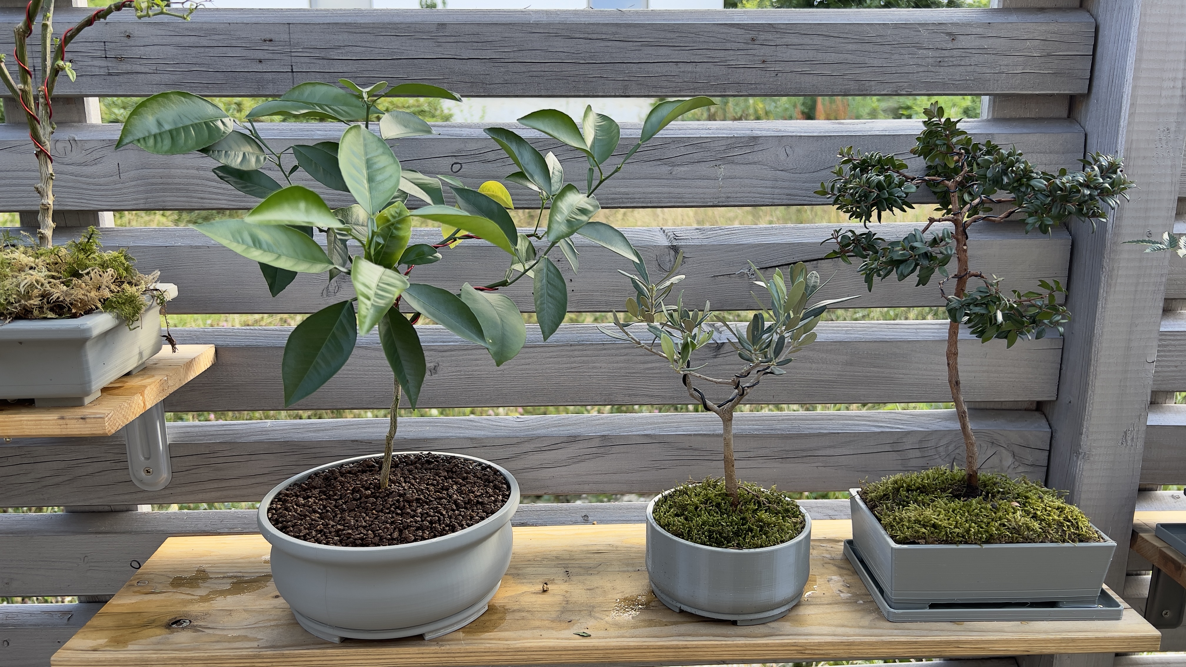 Bonsai pots + coasters