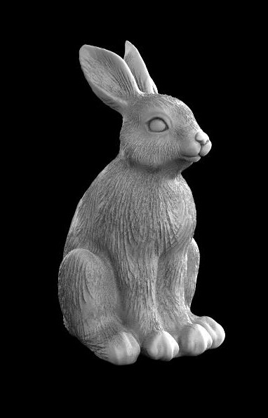 rabbit