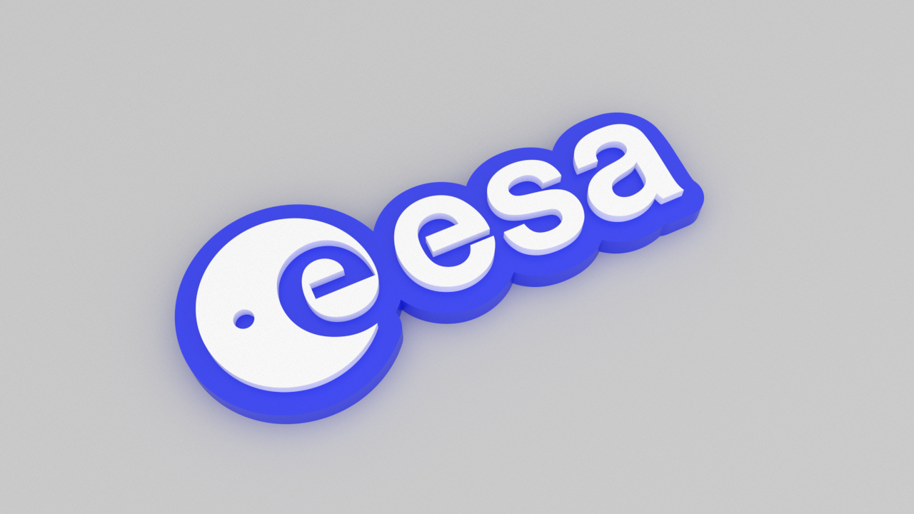 ESA Fridge Magnet - Contoured