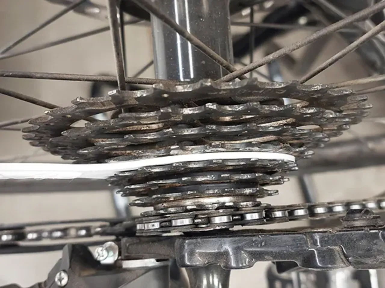 Bike cassette cleaning tool top